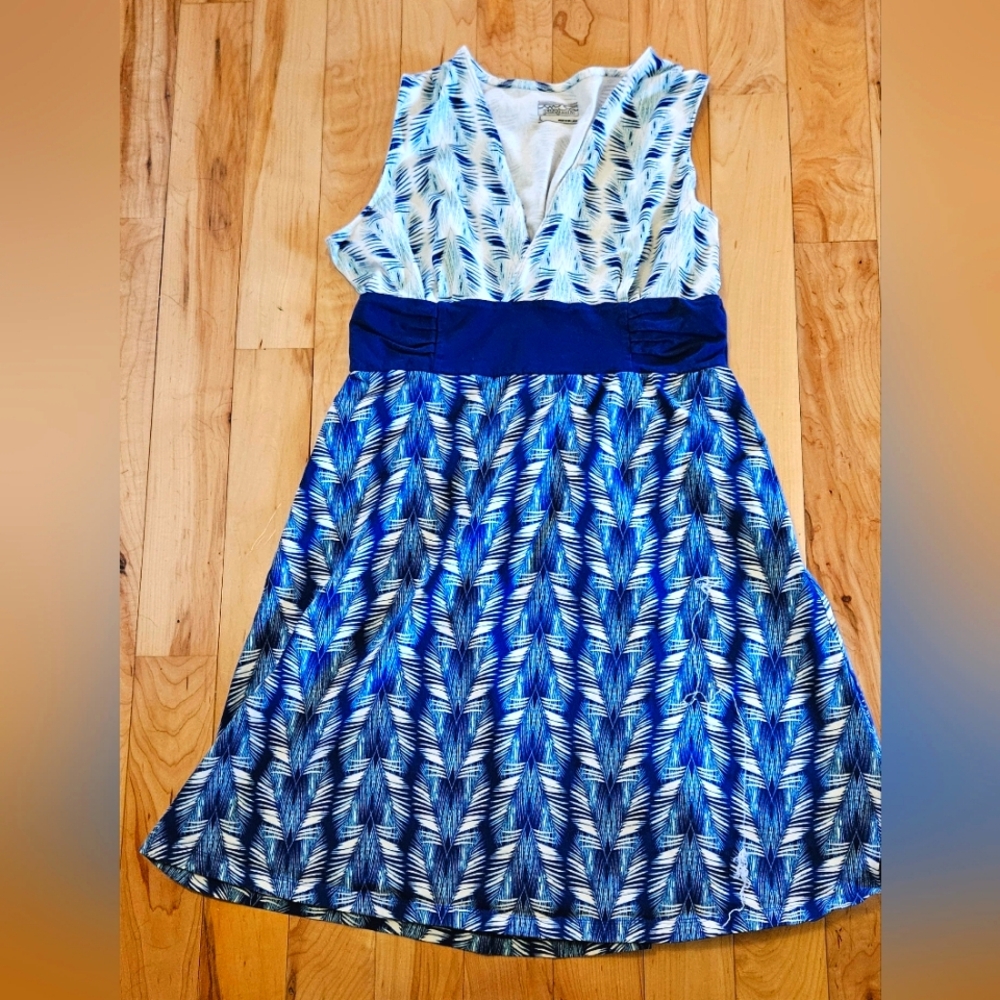 Patagonia dress